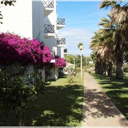 Alfarroba * Tavira