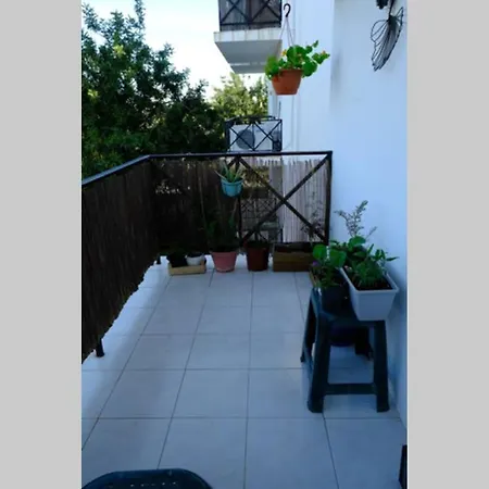 Alfarroba Apartment *
