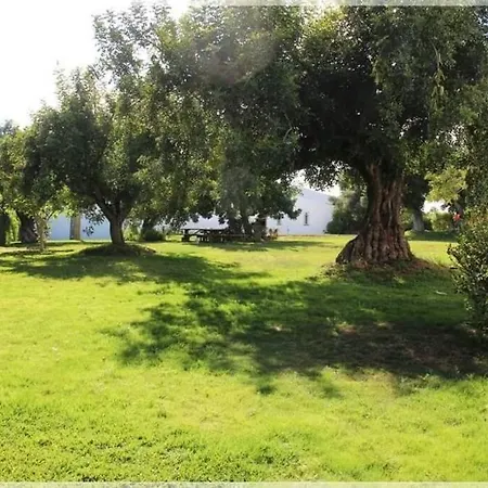 Apartment Alfarroba *