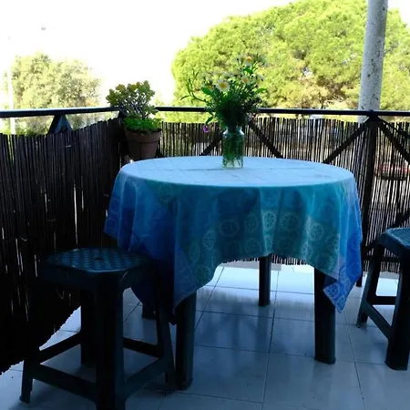 Apartment Alfarroba